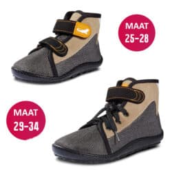 Leguanito Scippo forester