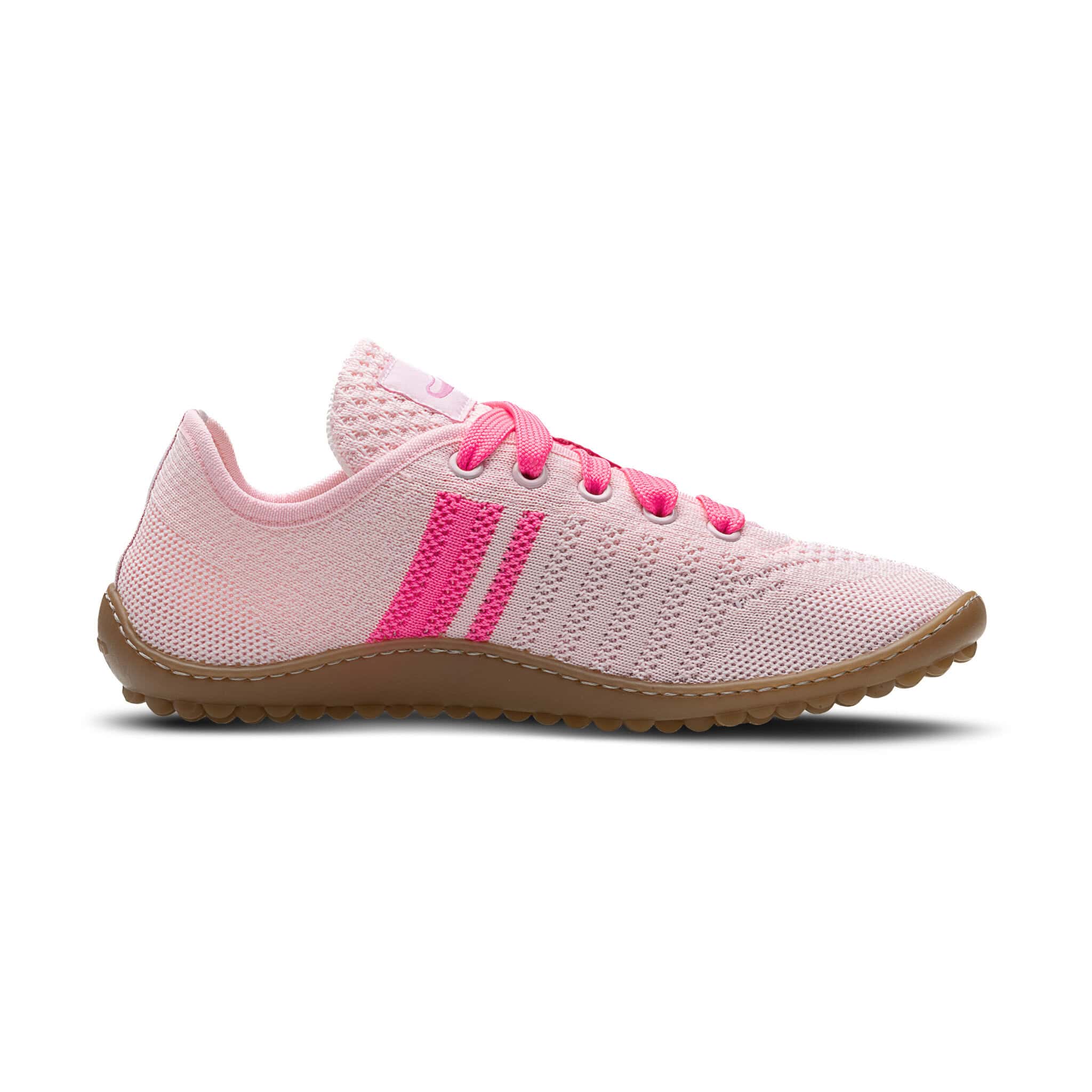 Caribeo rose - Afbeelding 5